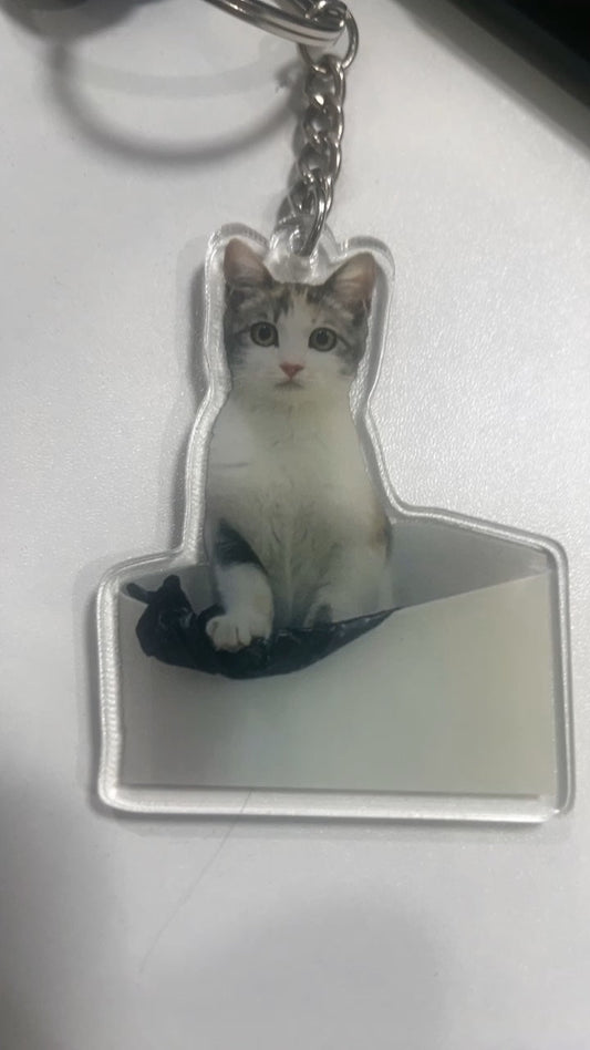 Pocket-Sized Love: Showcase Your Furry (or Feathery, or Scaly) Friend with Custom Pet Keychains