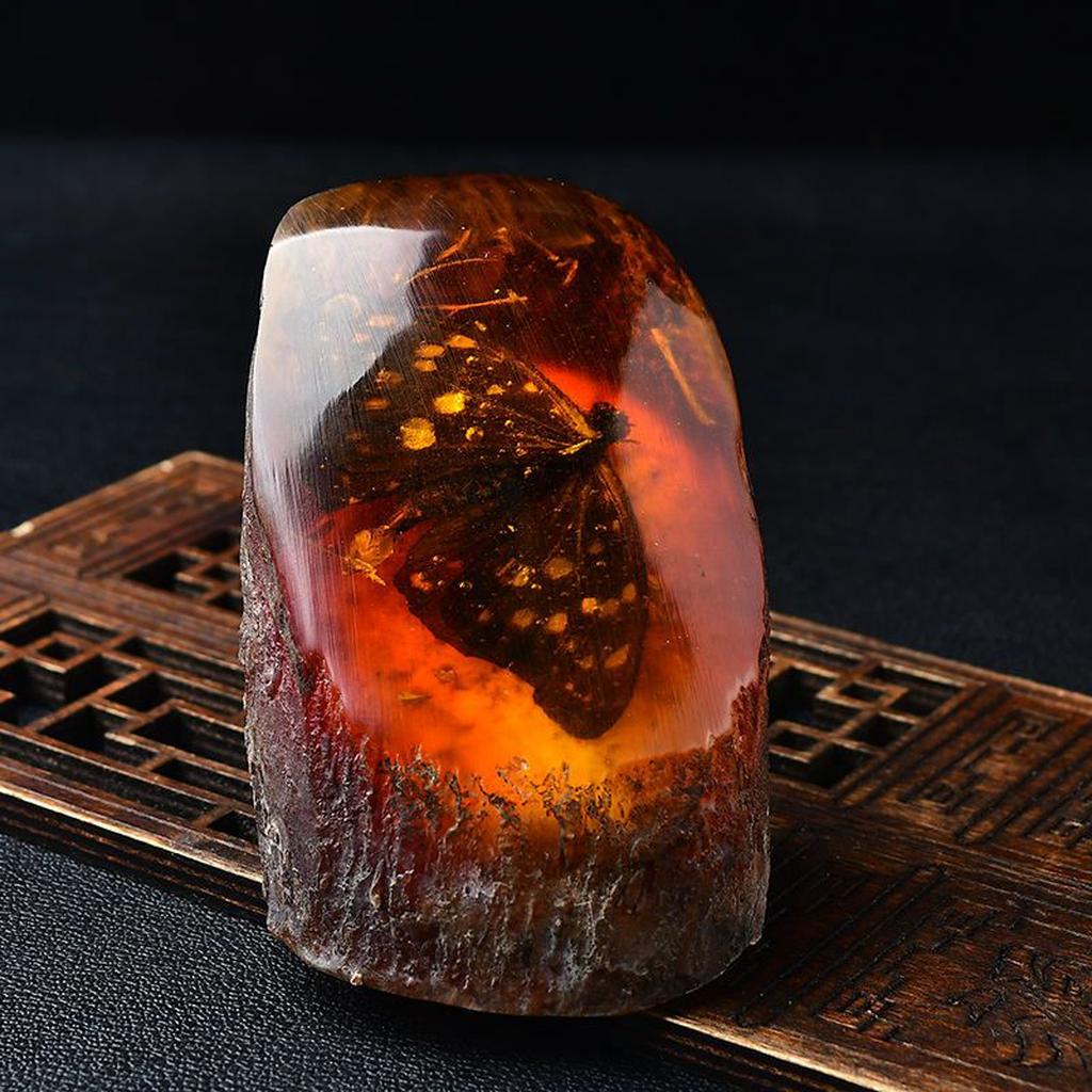 Butterfly in Amber Fossil Specimen