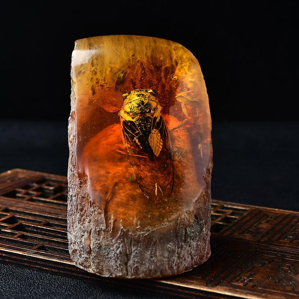 Cicada in Amber Fossil Specimen