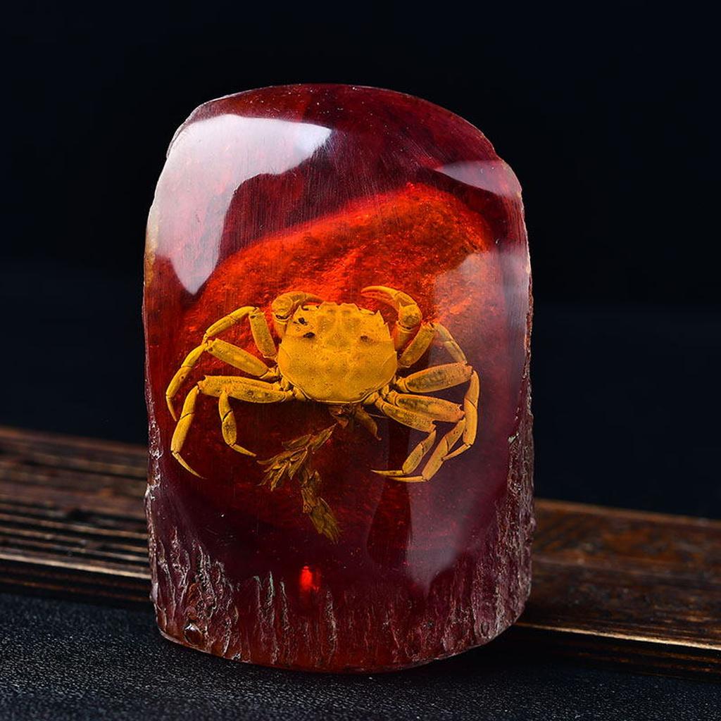 Crab in Amber Fossil Specimen
