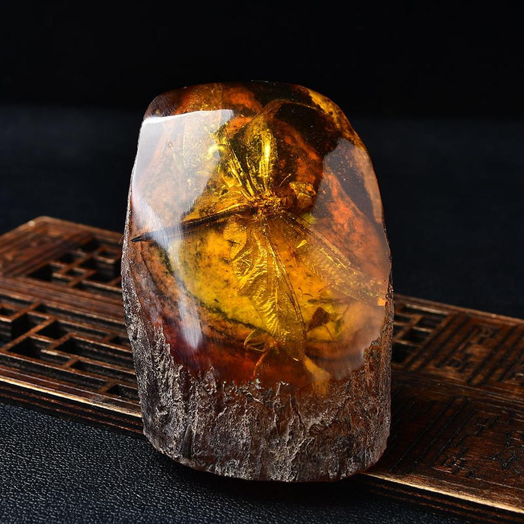 Dragonfly in Amber Fossil Specimen
