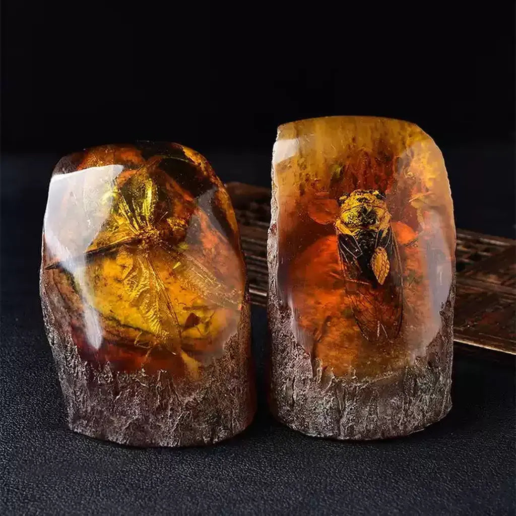 Insect in Amber Fossil Specimen Collection Insect in Amber Fossil Specimen Pair