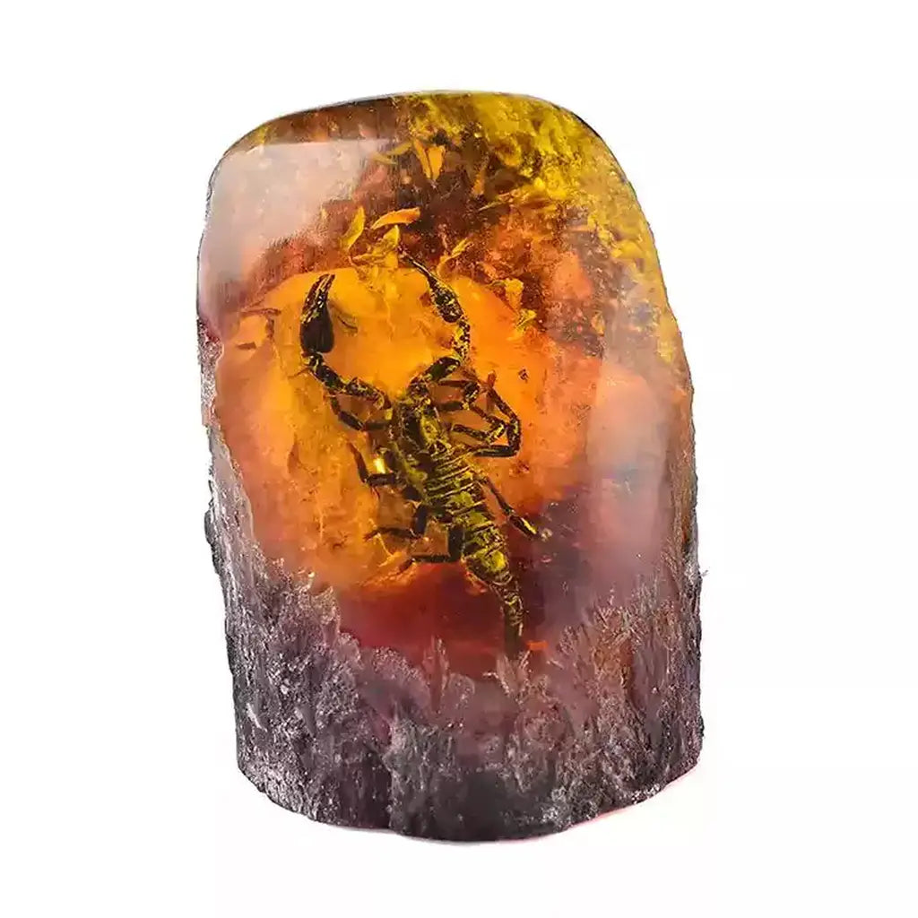 Insect in Amber Fossil Specimen Collection Scorpion in Amber Fossil Specimen