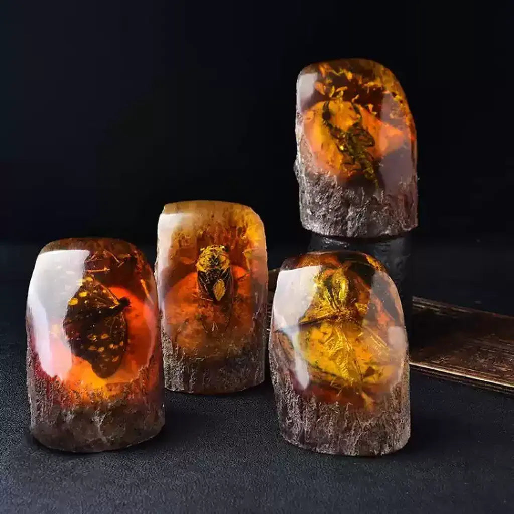 Insect in Amber Fossil Specimen Collection