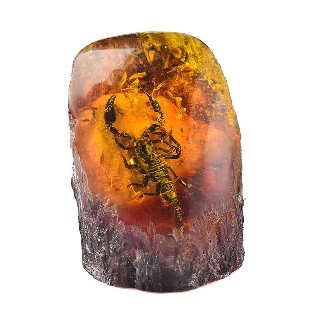 Scorpion in Amber Fossil Specimen
