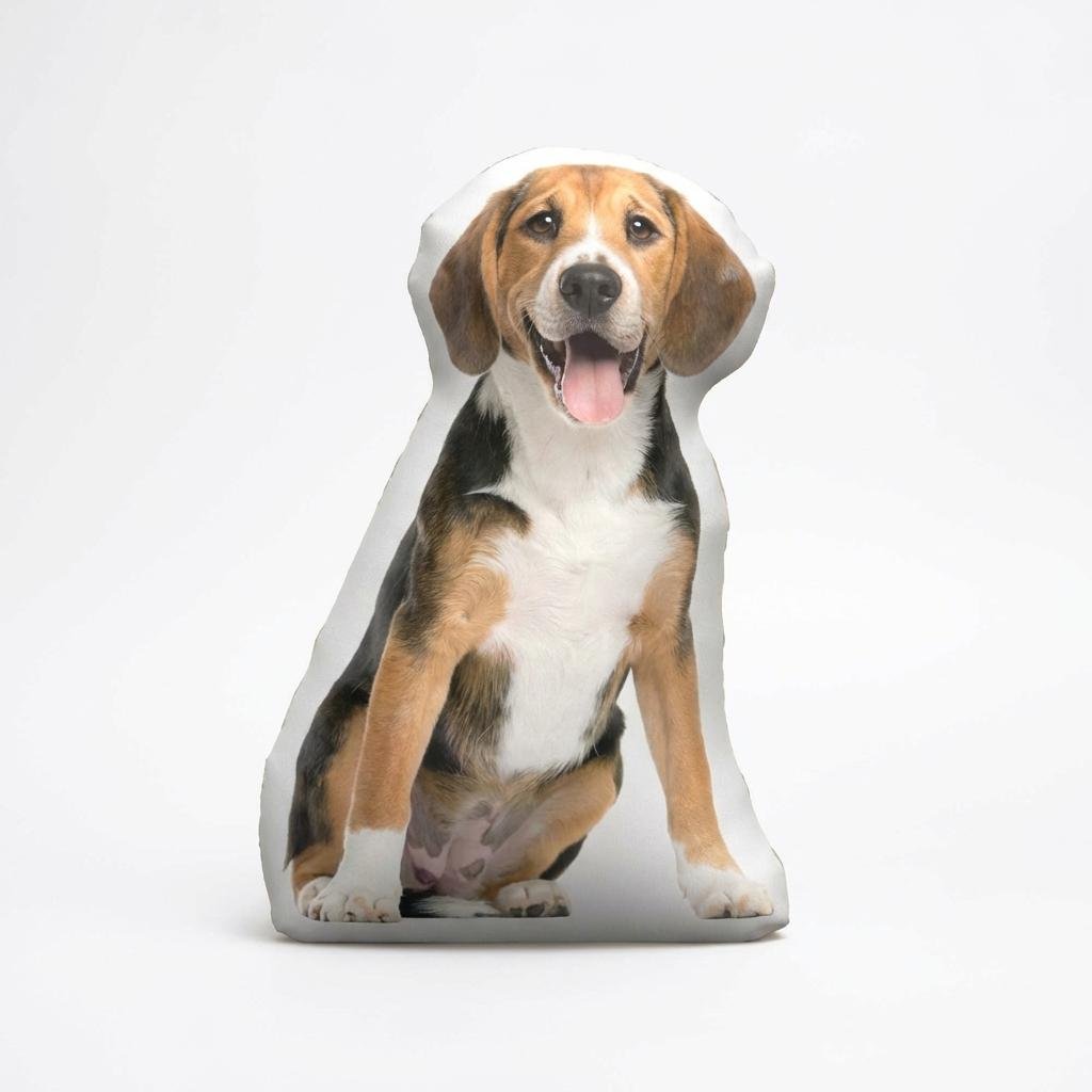 Creating a Comforting Pet Memorial: Choosing the Right Tribute