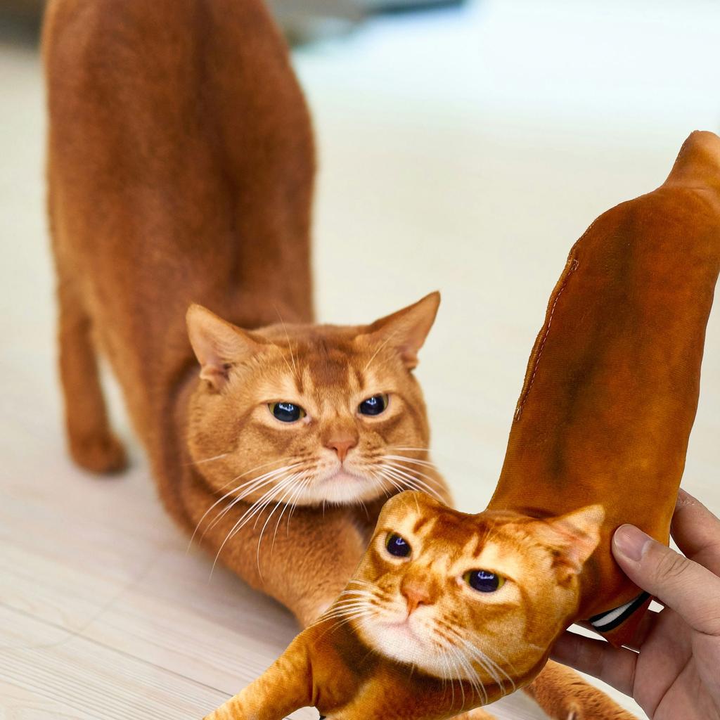 Embrace the Ugly: Why Personalized "Ugly" Pet & People Pillows Are Taking Over the Internet