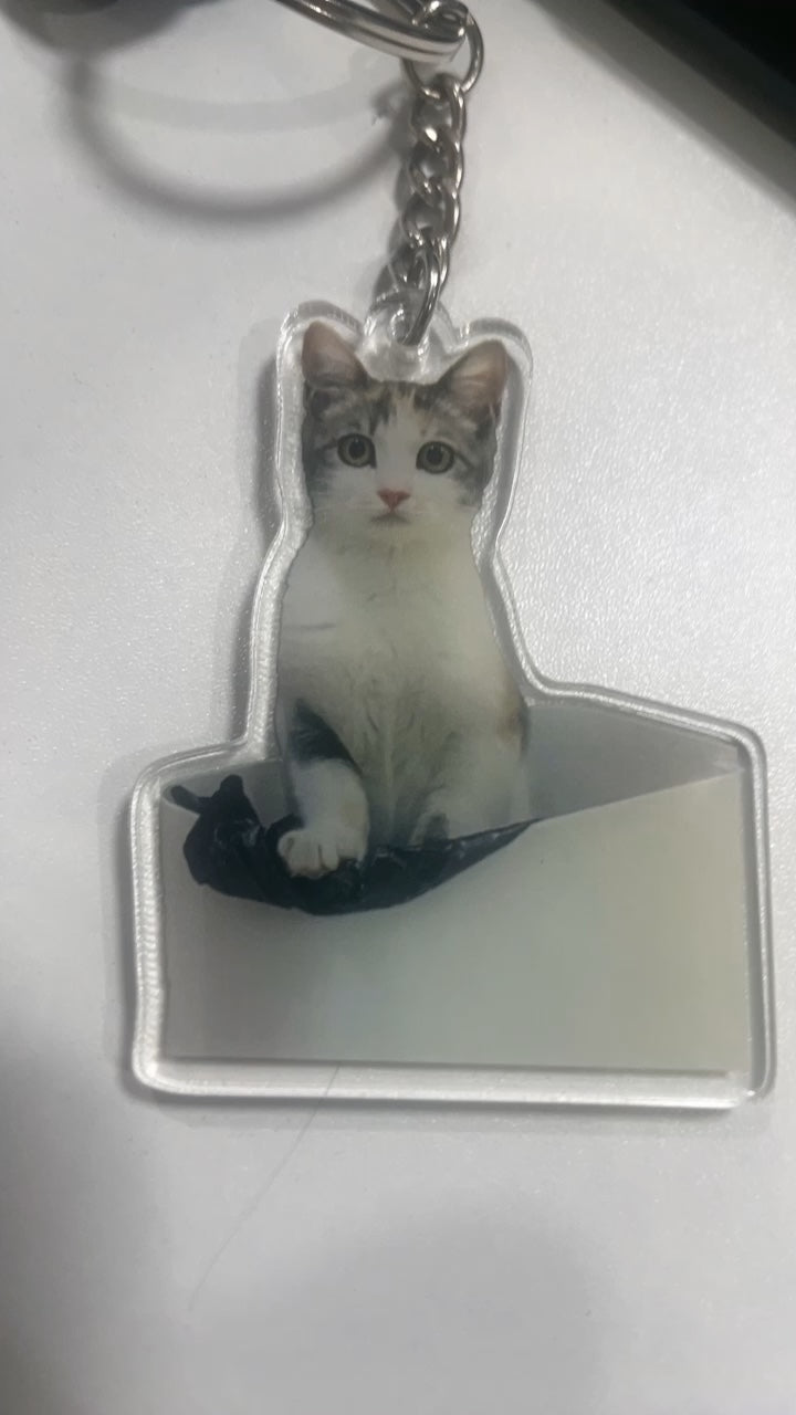 Pocket-Sized Love: Showcase Your Furry (or Feathery, or Scaly) Friend with Custom Pet Keychains