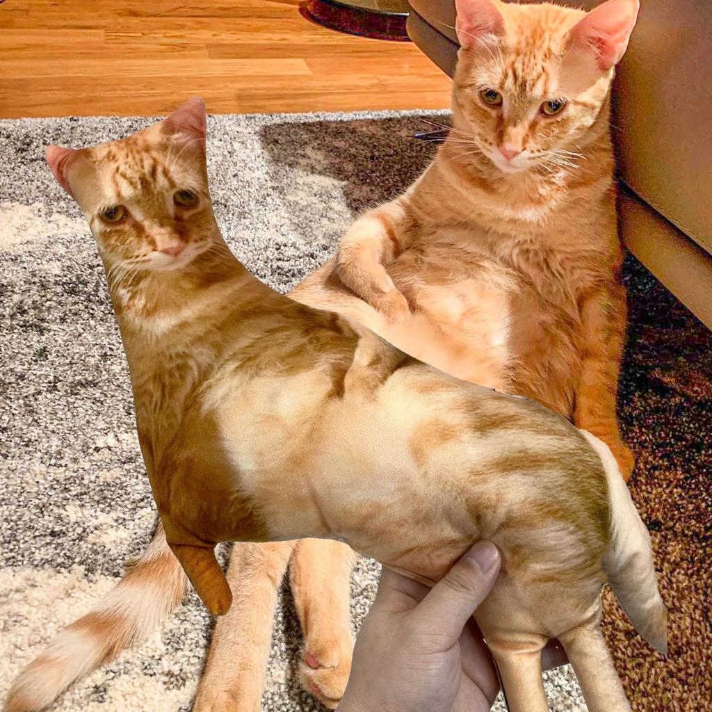 Embrace the Ugly-Cute: Custom Pet Pillows That Are Hilariously Adorable