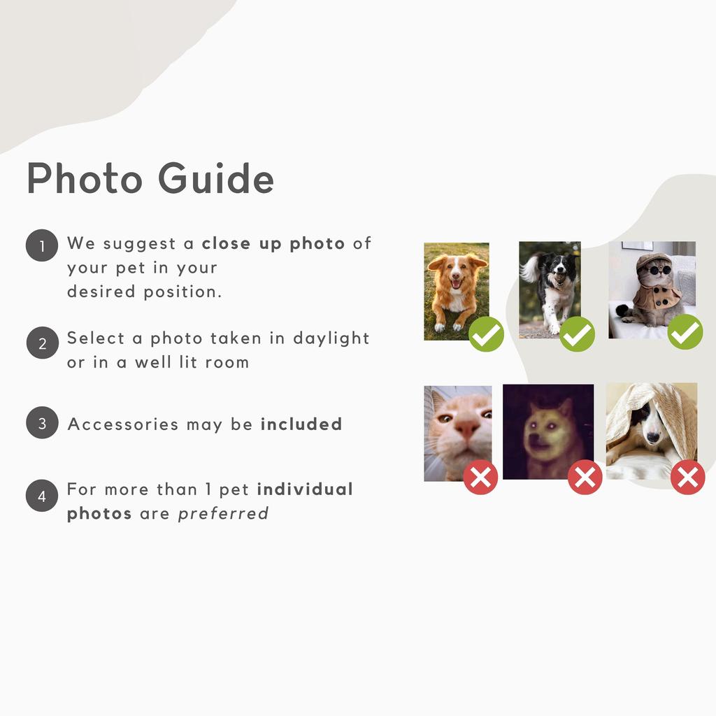 Custom Pet Photo Socks Photo Guide