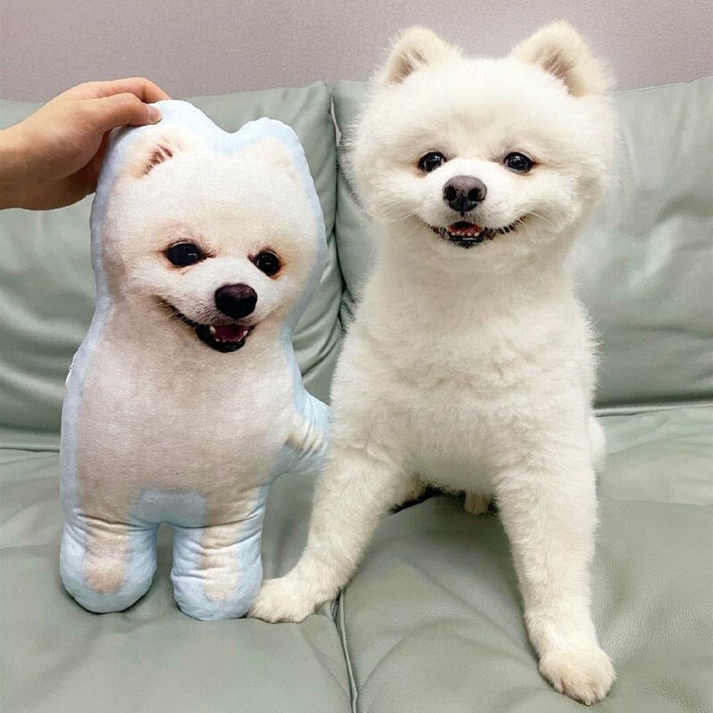 Custom Pet Pillow Pomeranian Dog Plush Lookalike