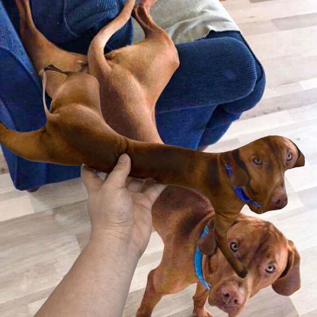 Vizsla Dog Custom Pet Pillow