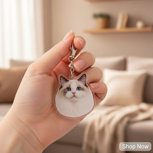 iMade4u_20251117212730_1