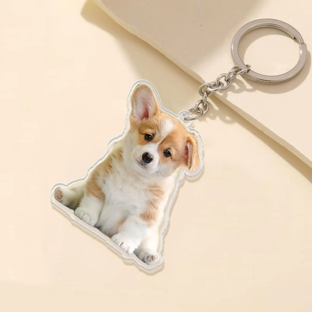 imgi_166_il_fullxfull